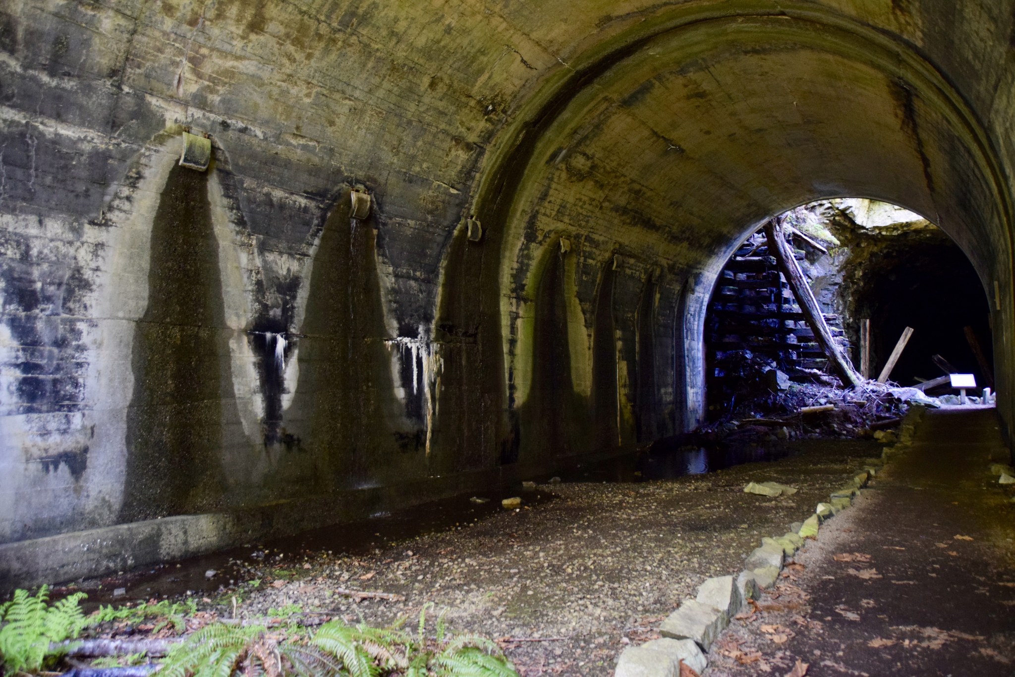 Iron Goat by HikingPrincess12.jpeg