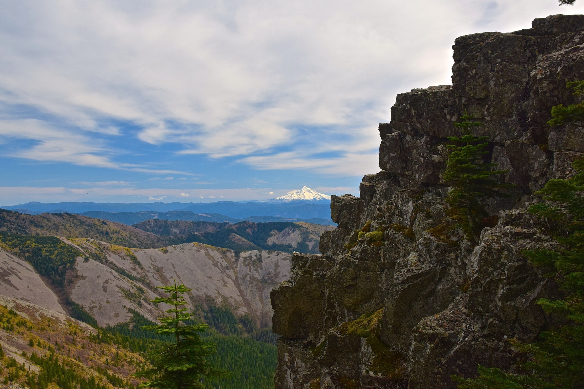 Silver Star by willtravel4beer.jpeg