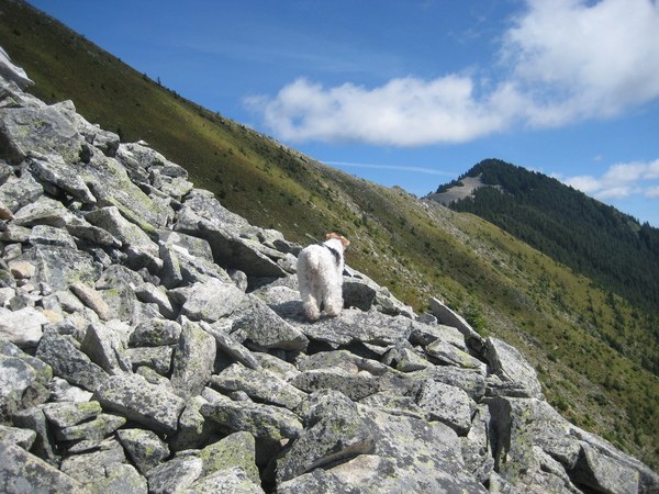 Trails To The West. trails that continue west,