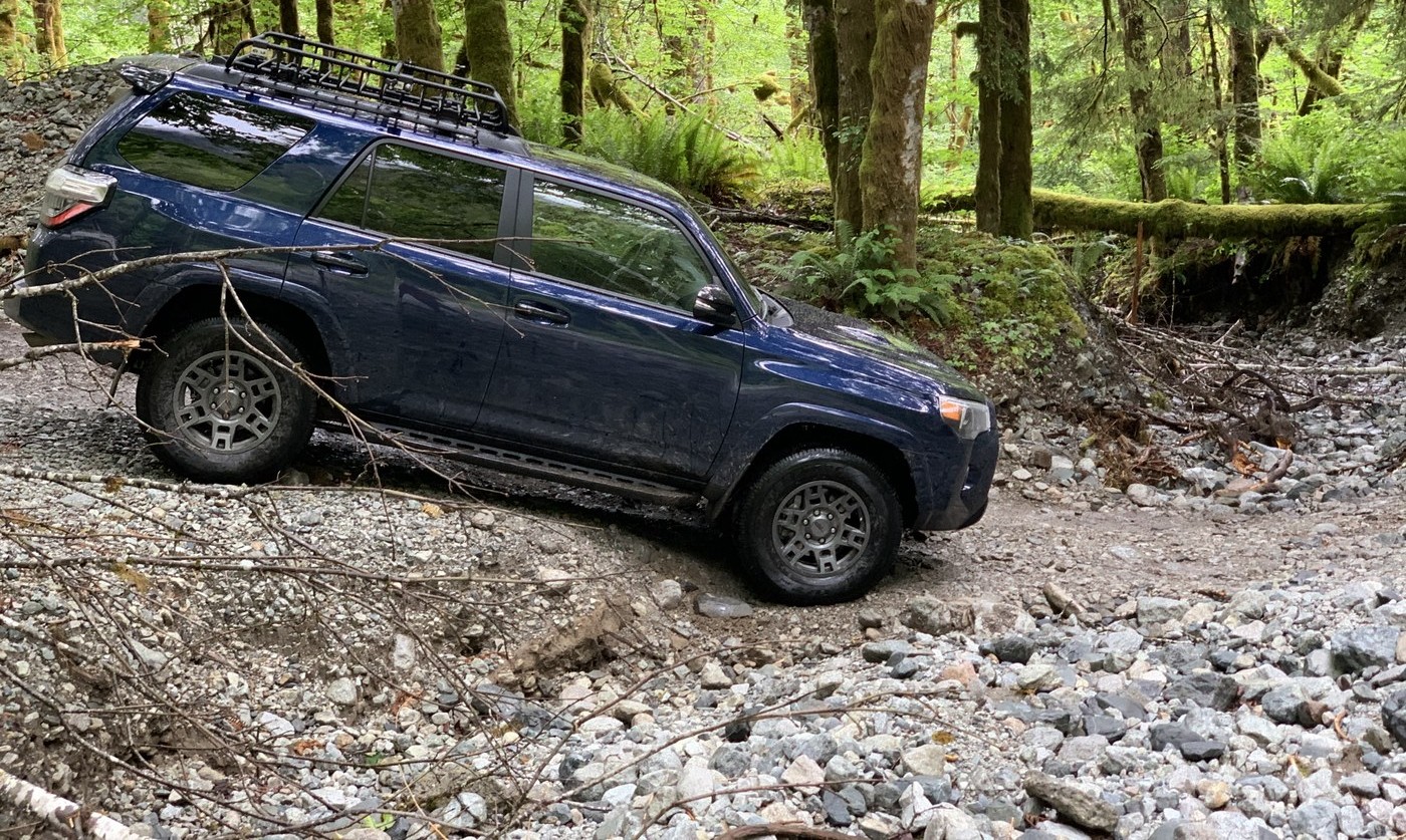 Car with its front wheels in a ditch on a gravel road next to trees and ferns