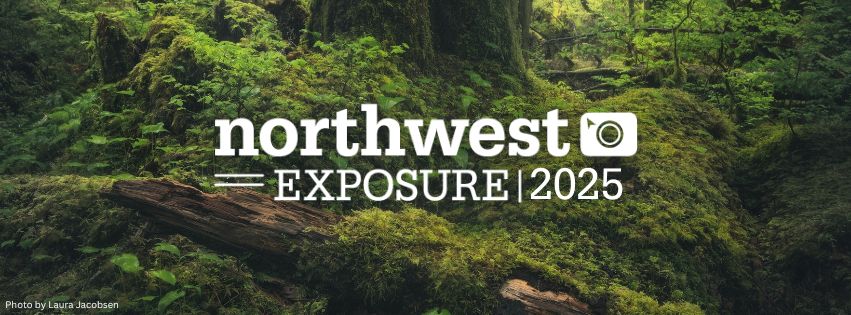 Photo of mossy green tree root with Northwest Exposure 2025 in the center with white text.