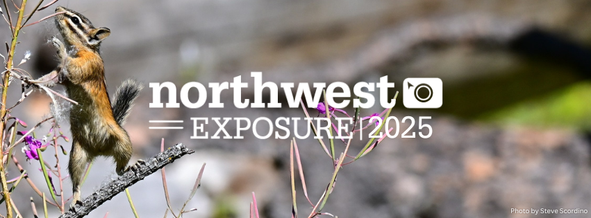 Chipmunk standing on tree brand with Northwest Exposure 2025 logo in center.