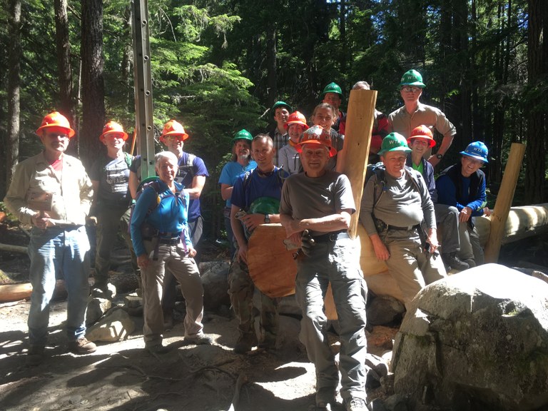A group of smiling volunteers sit at one end of a large log bridge in dappled sunlight