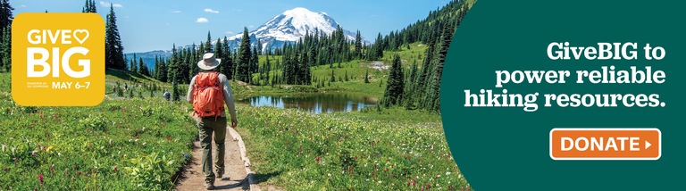 A hiker wearing an orange backpack hikes a trail with a small lake and Mount Rainier in the distance. 