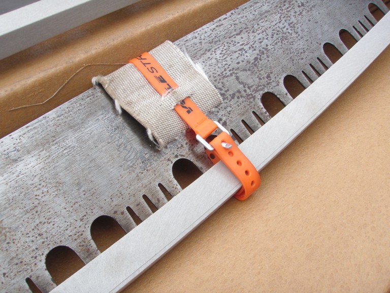Crosscut. Photo by Carol B. Crosscut. Photo by Carol B.