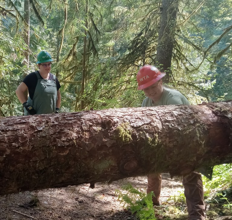Boulder River crosscut. Photo by Matt Christain Two people stand behind a large tree across a trail evaluating it for a cut.
