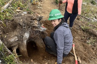 Angelina Xu Angelina Xu