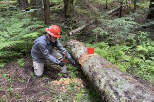 Rich Baldwin Rich Baldwin