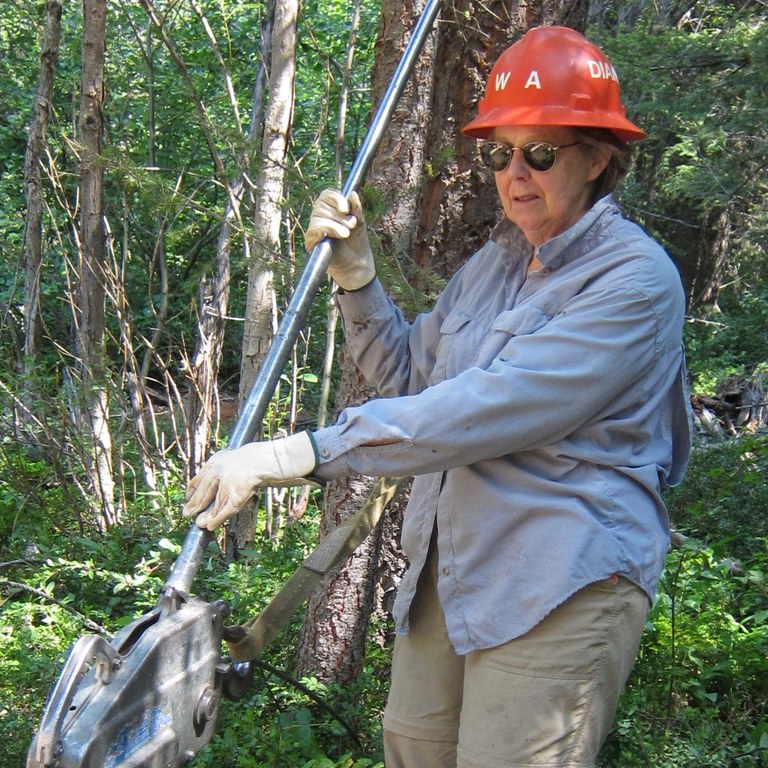 dianne hofbeck.jpg