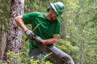 john palmer john palmer