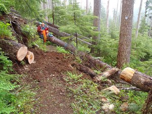 Look at the progress that these two volunteers have made - and what they still have yet to tackle. Photo by Megan McKenzie.