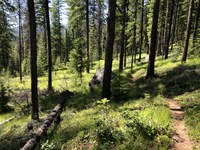 Celebrating 10 years of real hikers writing for WTA Celebrating 10 years of real hikers writing for WTA