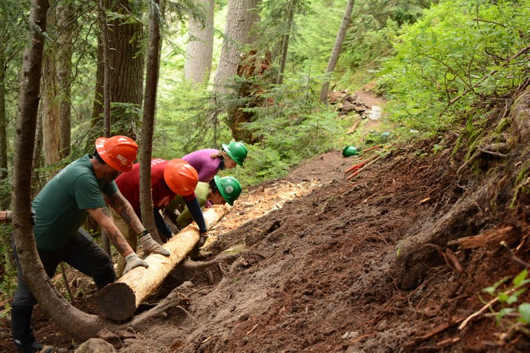 Volunteers work together to build up the trail's edge. Photo by Jessi Loerch. 