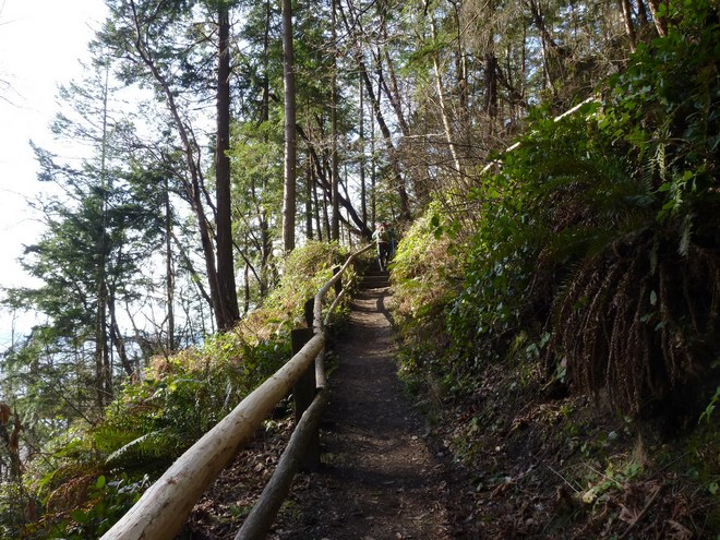 Camano Island State Park by ejain. 