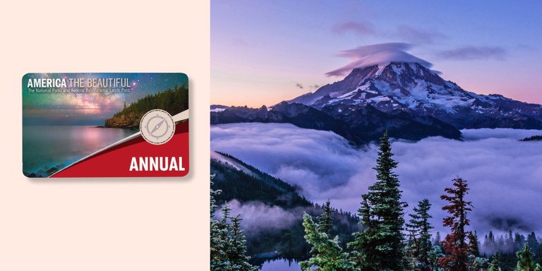 National Park Pass
