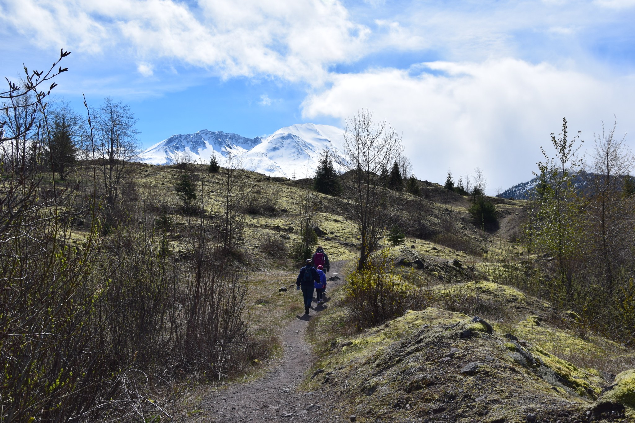 Hummocks Trail by willtravel4beer.jpeg