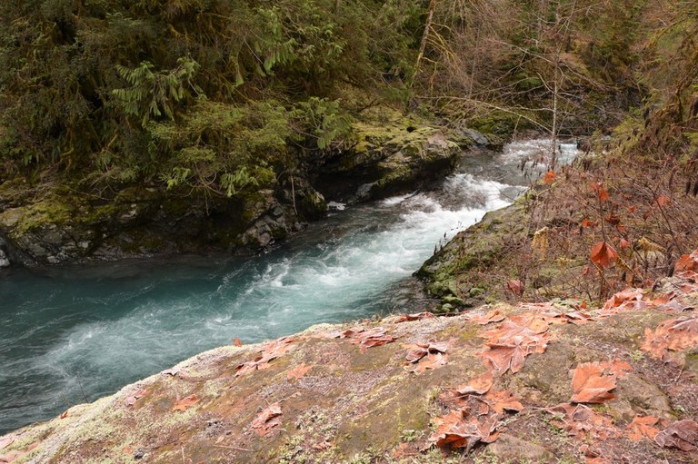 Ranger Hole Photo by kalsequim.jpeg