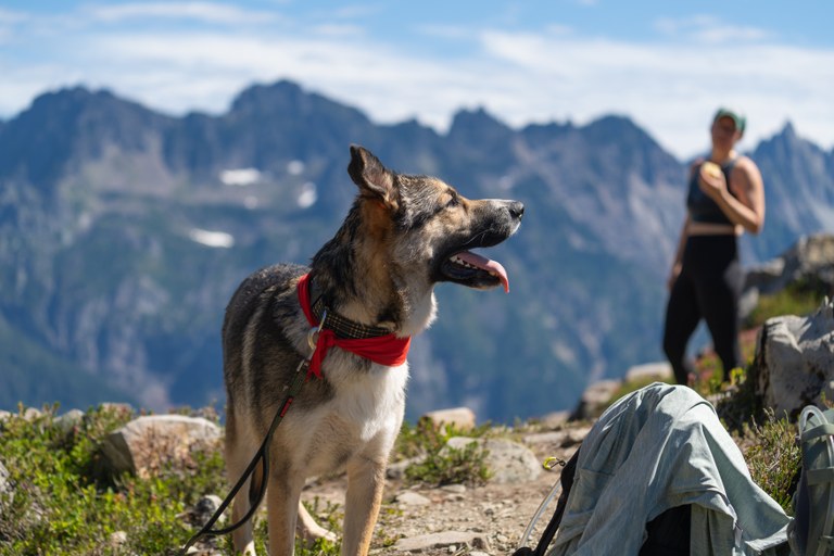Dwight at Gothic Basin. Photo by Bradley Nadolny.