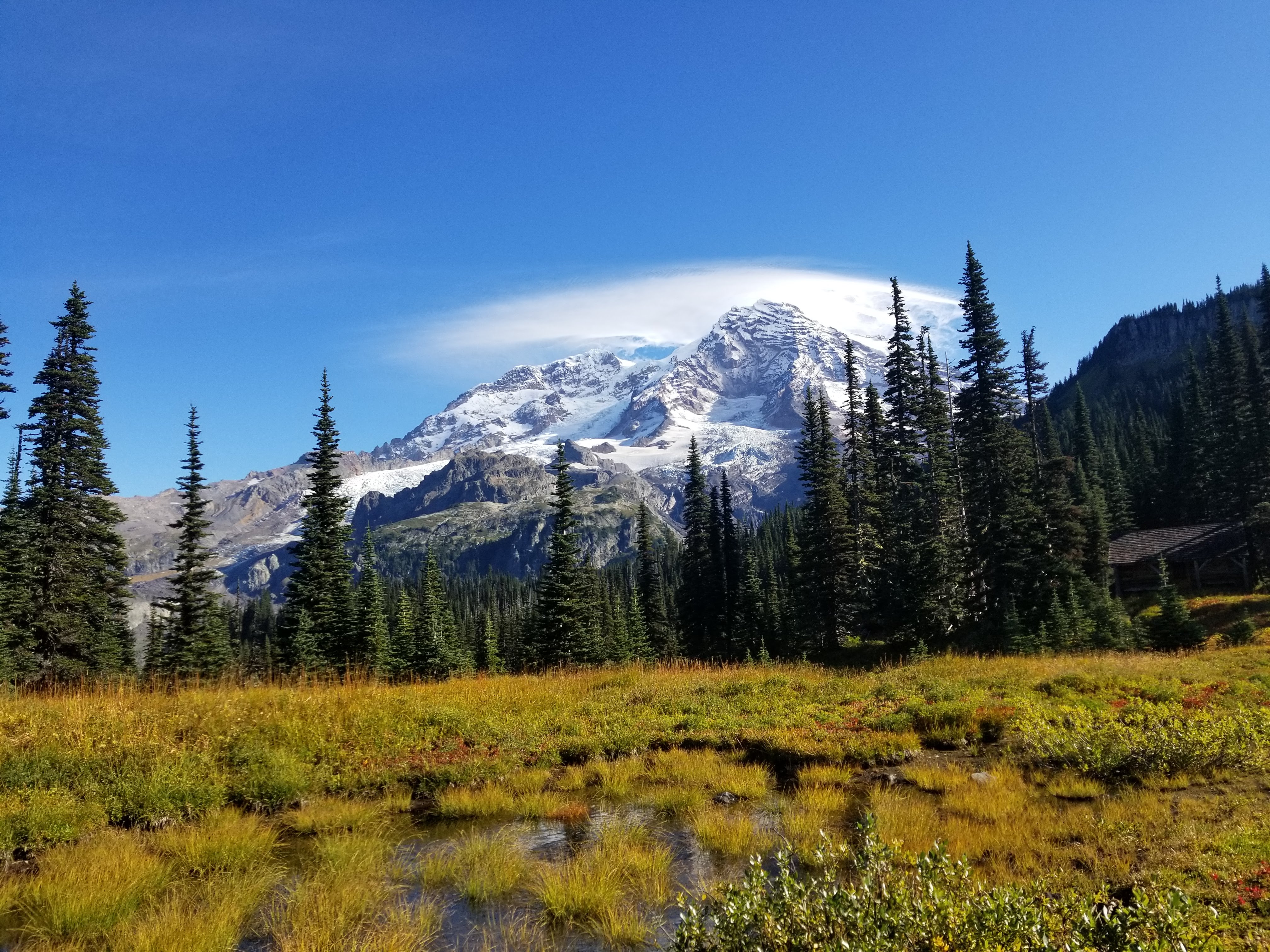 Wonderland trail fall views