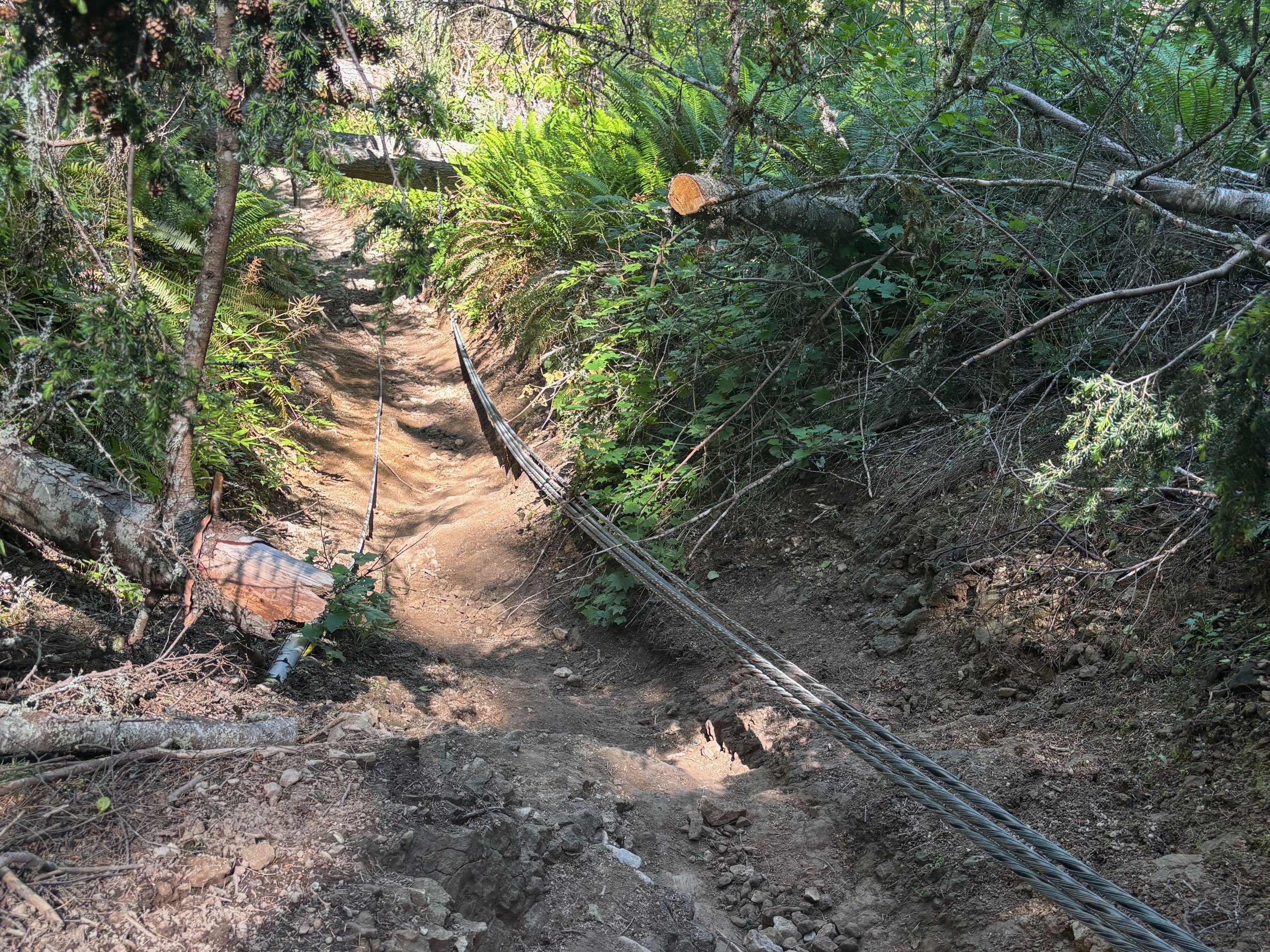 The eponymous cable along the very steep Cable Line trail in the Issaquah Alps. Photo by kassii.