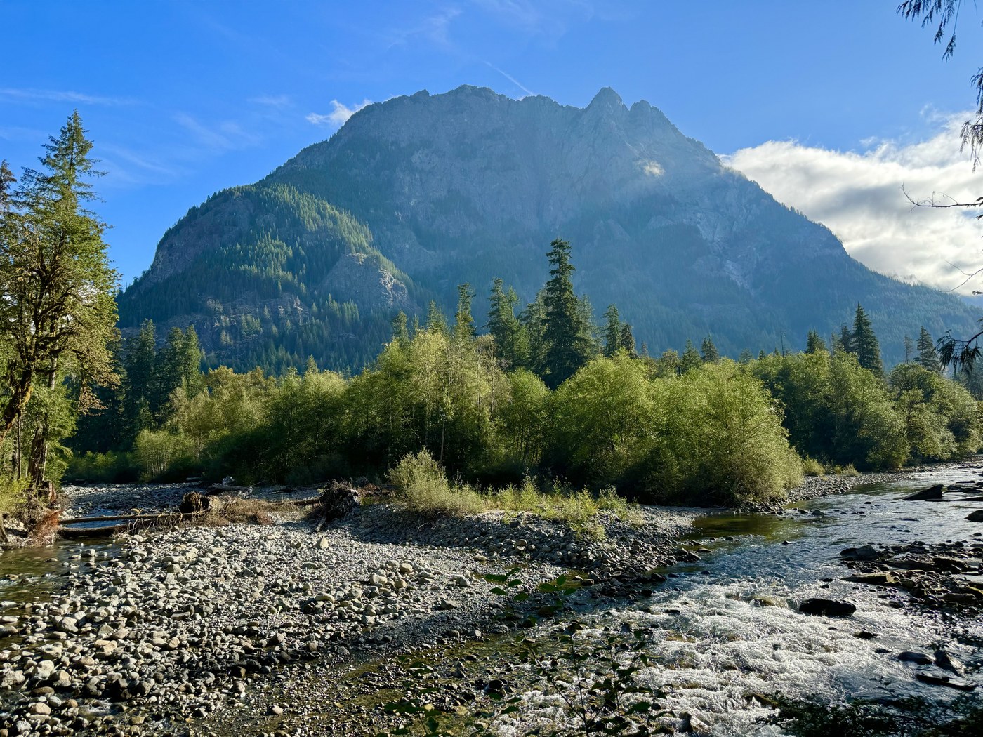 Rocky riverbed with rapids rushing over on either side of patch of green trees. Blue skies and large mountain top in background.