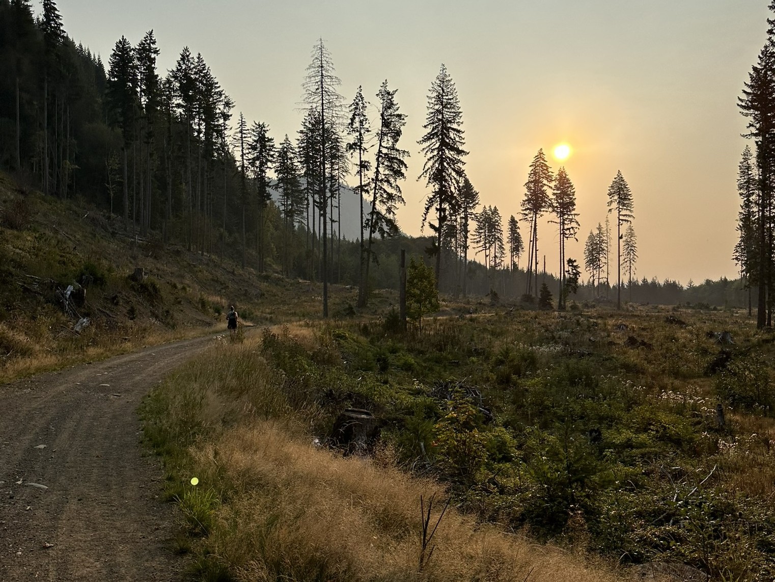 A sunset along the Olympic Discovery Trail. Photo by chansen_hike.