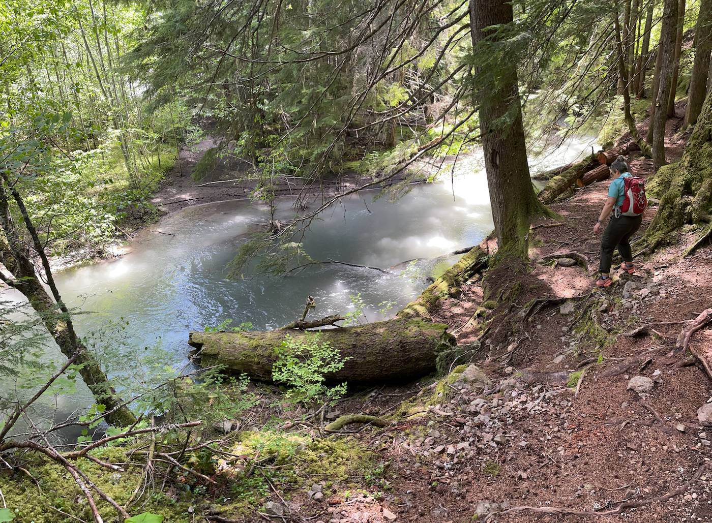 Skookum by trip reporter Mossy Sketcher.png