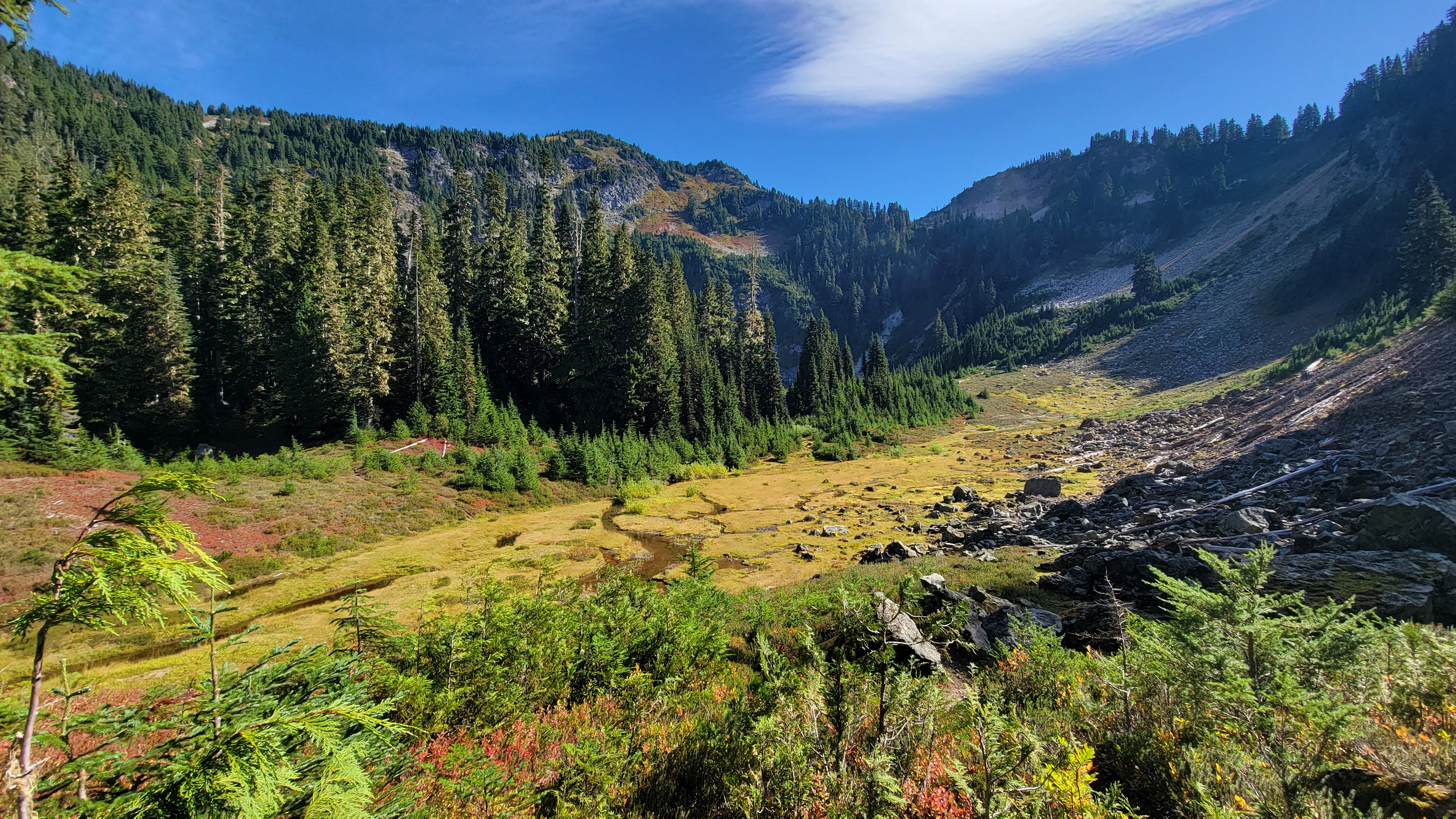 fall views in a meadow