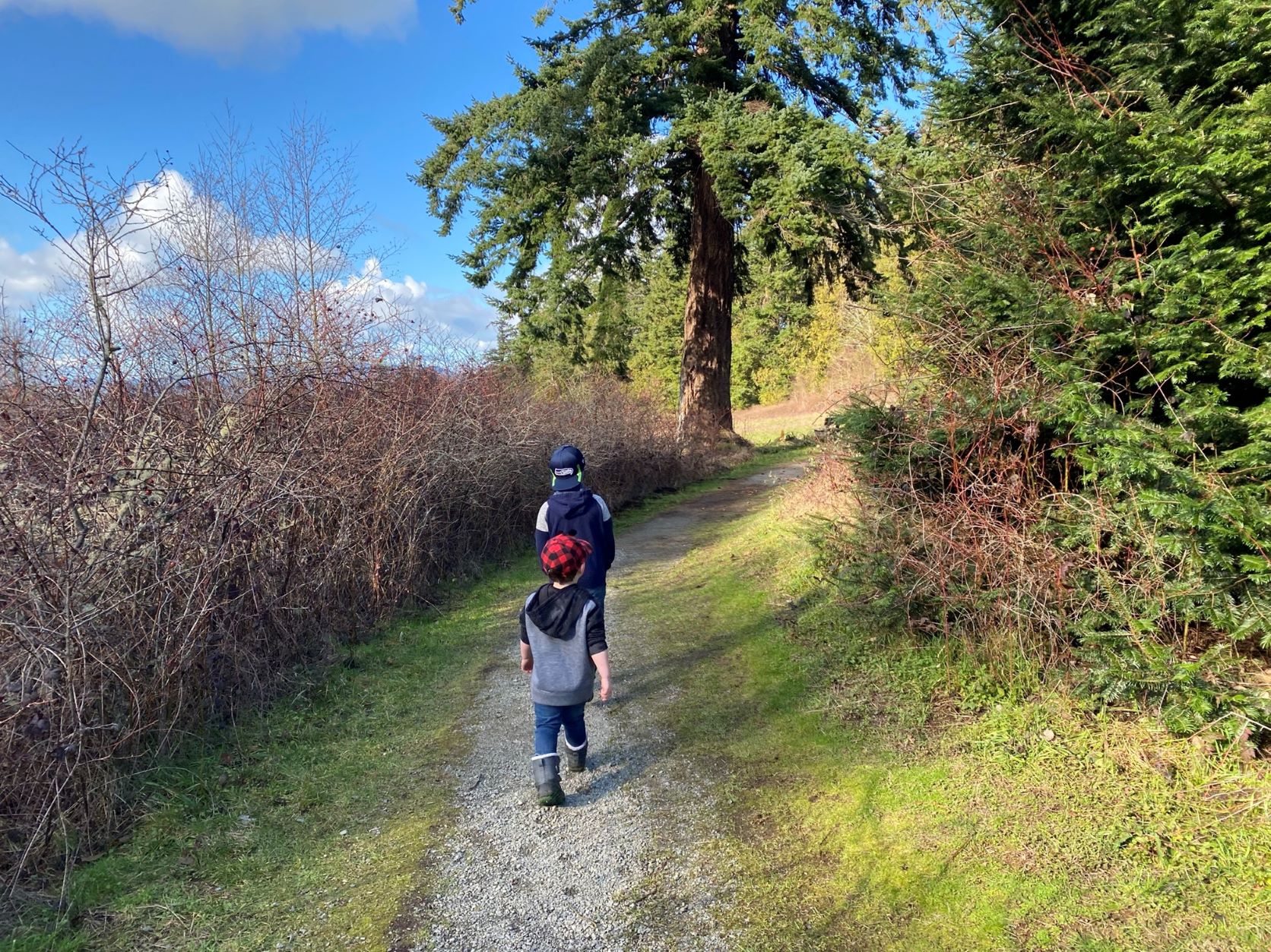 Two children hiking on the trail at Breazeale Interpretive Center. Photo by L3Adventures.