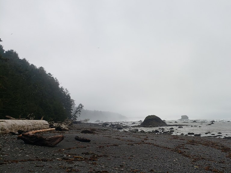 A wintry sky over the beach at Cape Alava