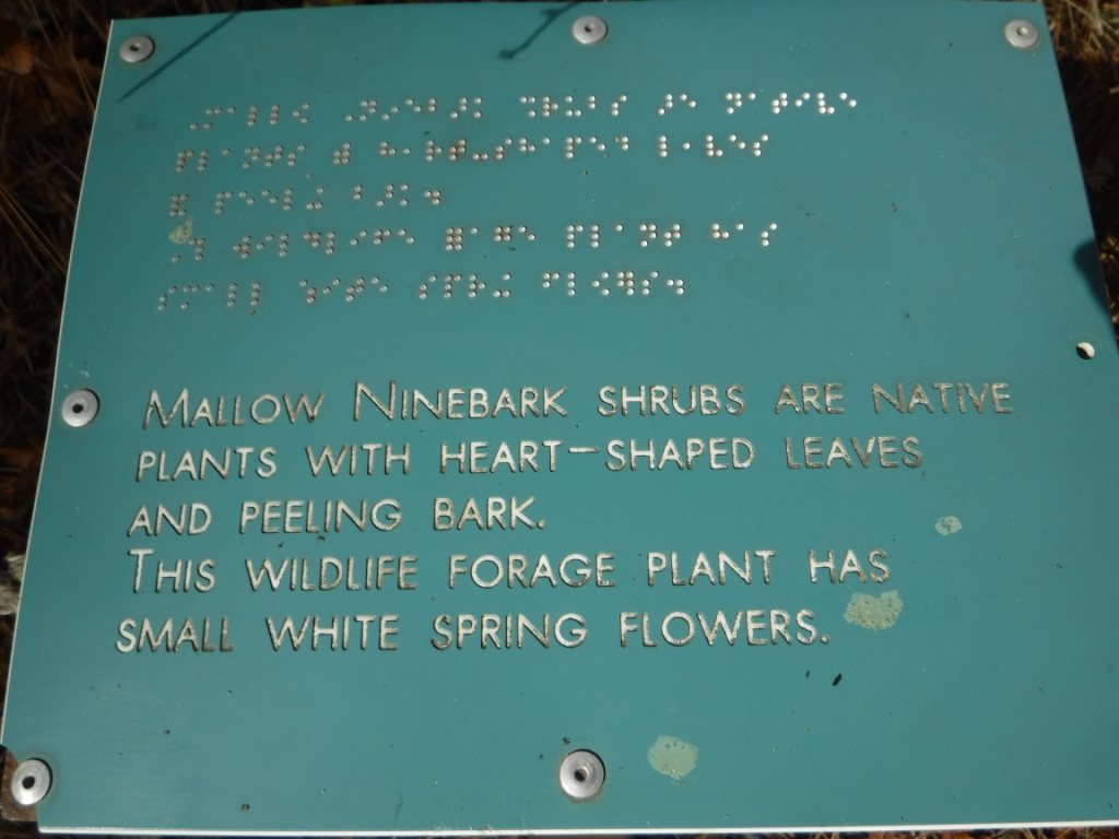 A sign about Mallow Ninebark shrubs at Finch Arboretum. Photo by Holly Weiler.