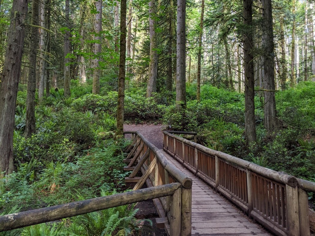 Grand Forest