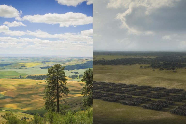 Kamiak Butte.jpg