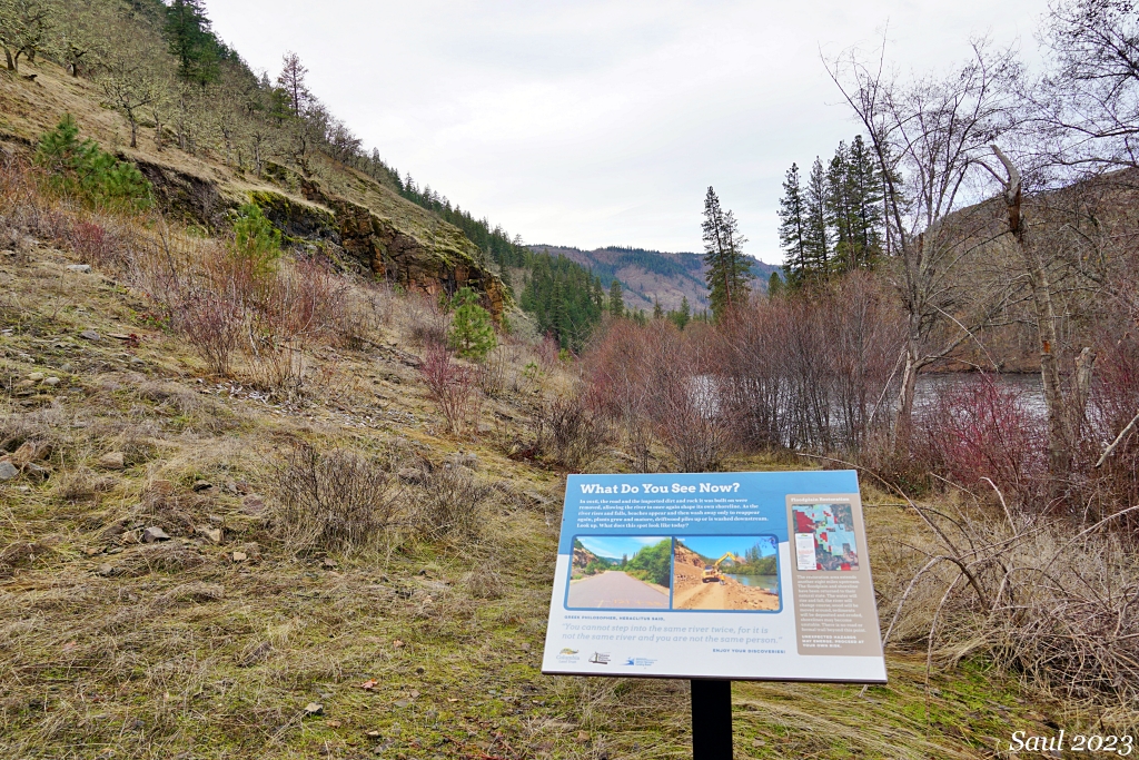 "What do you see now?" interpretive sign on the Klickitat Haul Road trail. Photo by Susan Saul. 