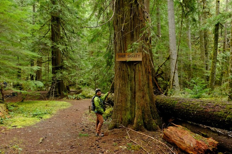 A hiker points to a sign that says "bark shanty" on a trail at the edge of a wide flat trail