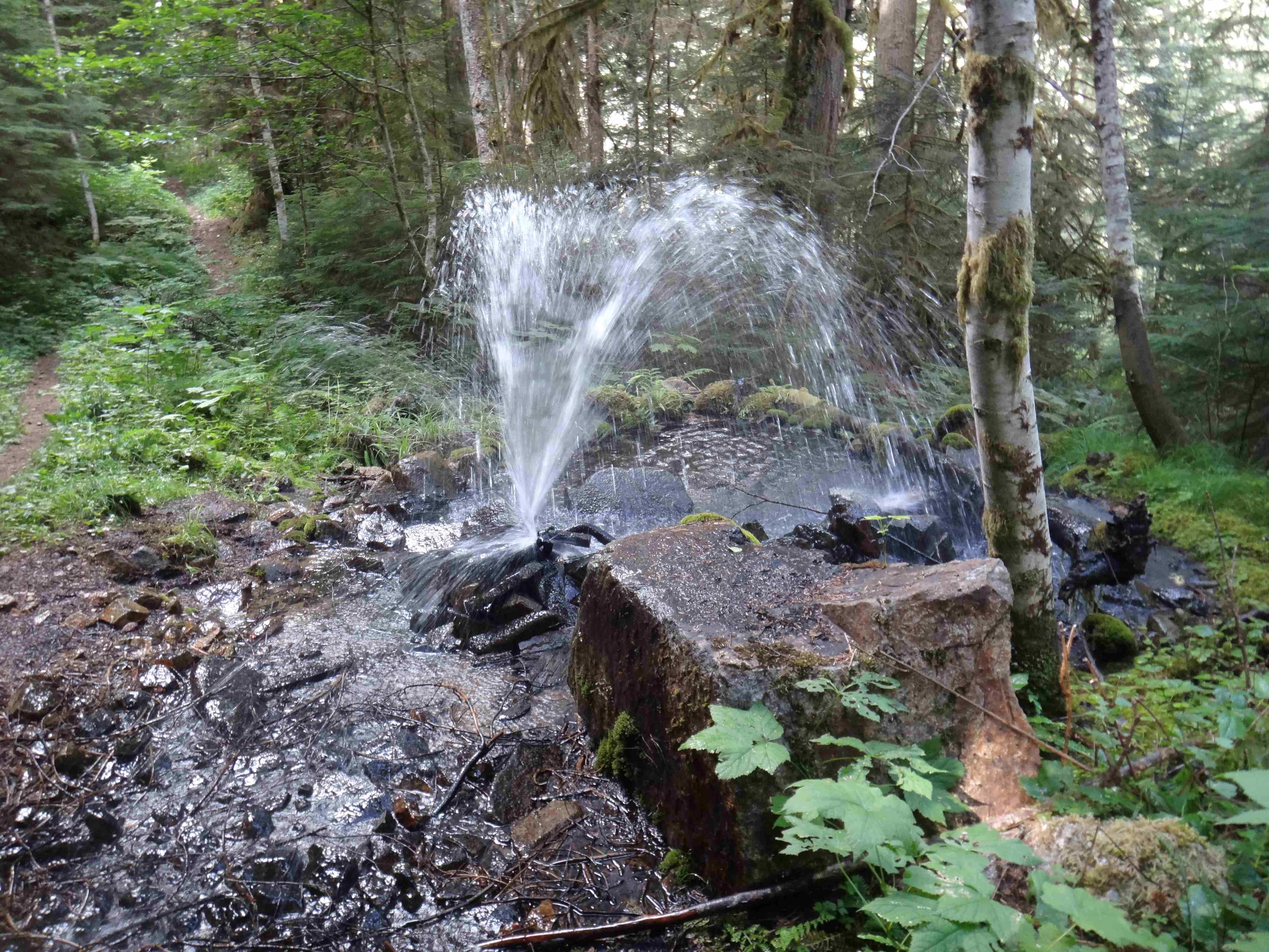 Fountain on the Middle Fork Snoqualmie River trail. Photo by D.J. Water spraying like a fountain from a rusty pipe on the Middle Fork Snoqualmie River trail. Photo by D.J.