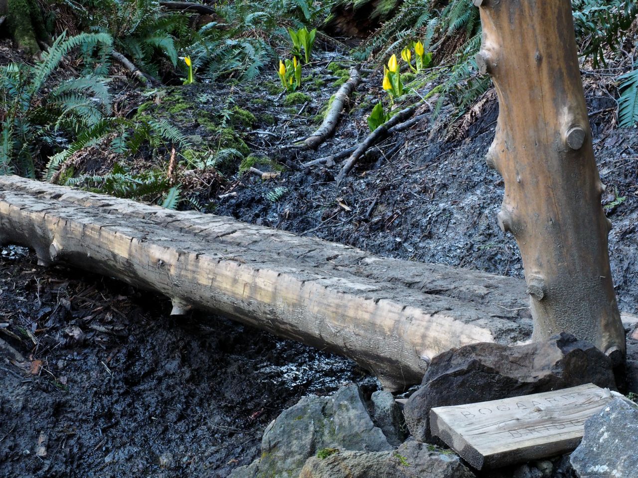 Bogaards Bridge on the Rock Trail. Photo by Bob and Barb. Bogaards Bridge with sign on the Rock Trail in Larrabee State Park. Photo by Bob and Barb.