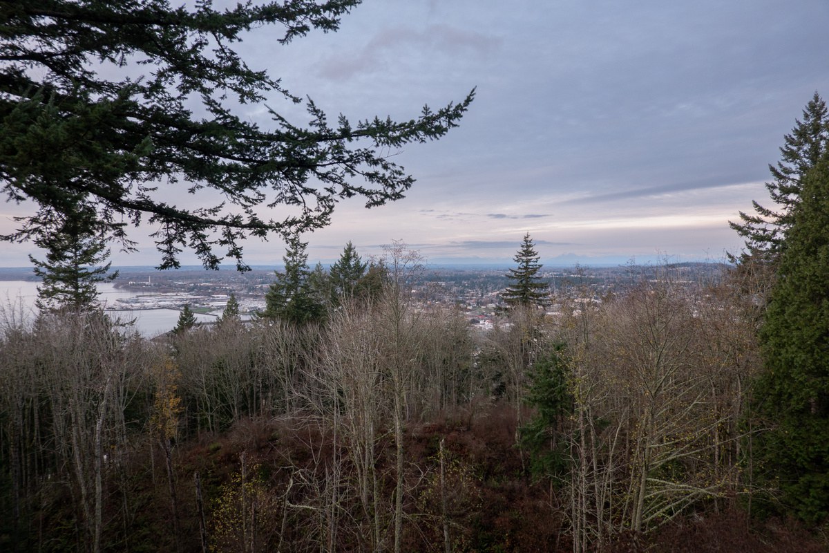 View of Bellingham from high point of Sehome Arboretum. 