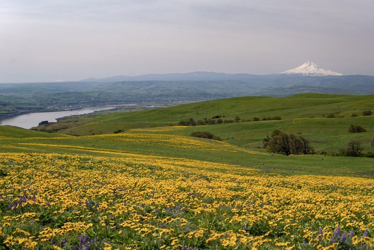 stacker butte_mafhoney.jpeg