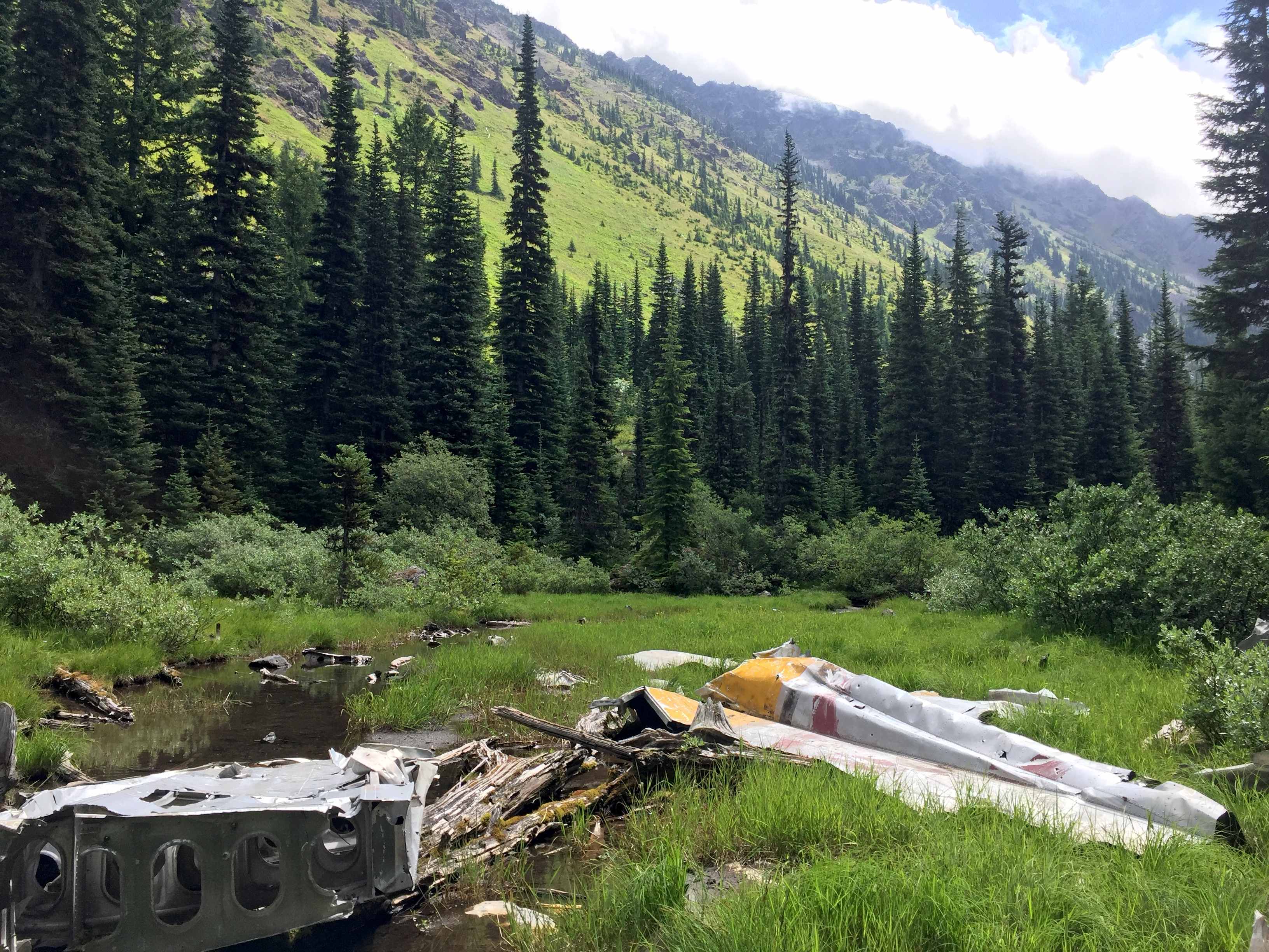 Crash site on the Tubal Cain Mine trail. Photo by BigSpud. 1952 B-17 plane crash site on the Tubal Cain Mine trail near Tull Canyon. Photo by Big Spud.