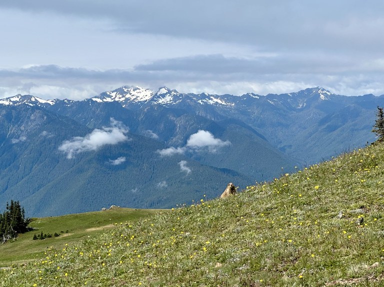 A mountainscape with snow and glaciers in the distance.