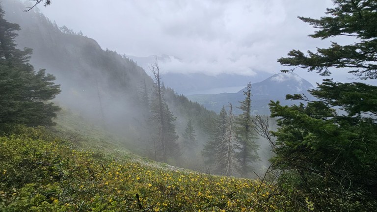 Augspurger Mountain in the Summer Clouds 20240425_131912.jpg