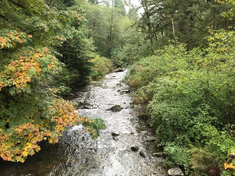 Amazing.... Image: Rock Creek wends through Yacolt Burn State Forest, nestled by lush riverbanks. Photo by Rod Hooker.