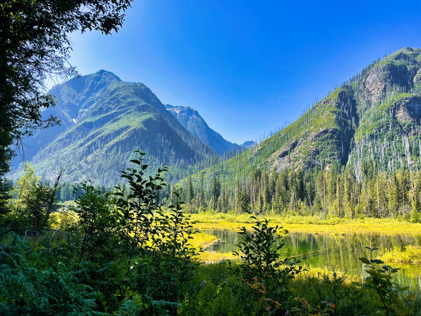 Big Beaver trail views photo by gurple A large mountain valley with two huge mountains on the far side