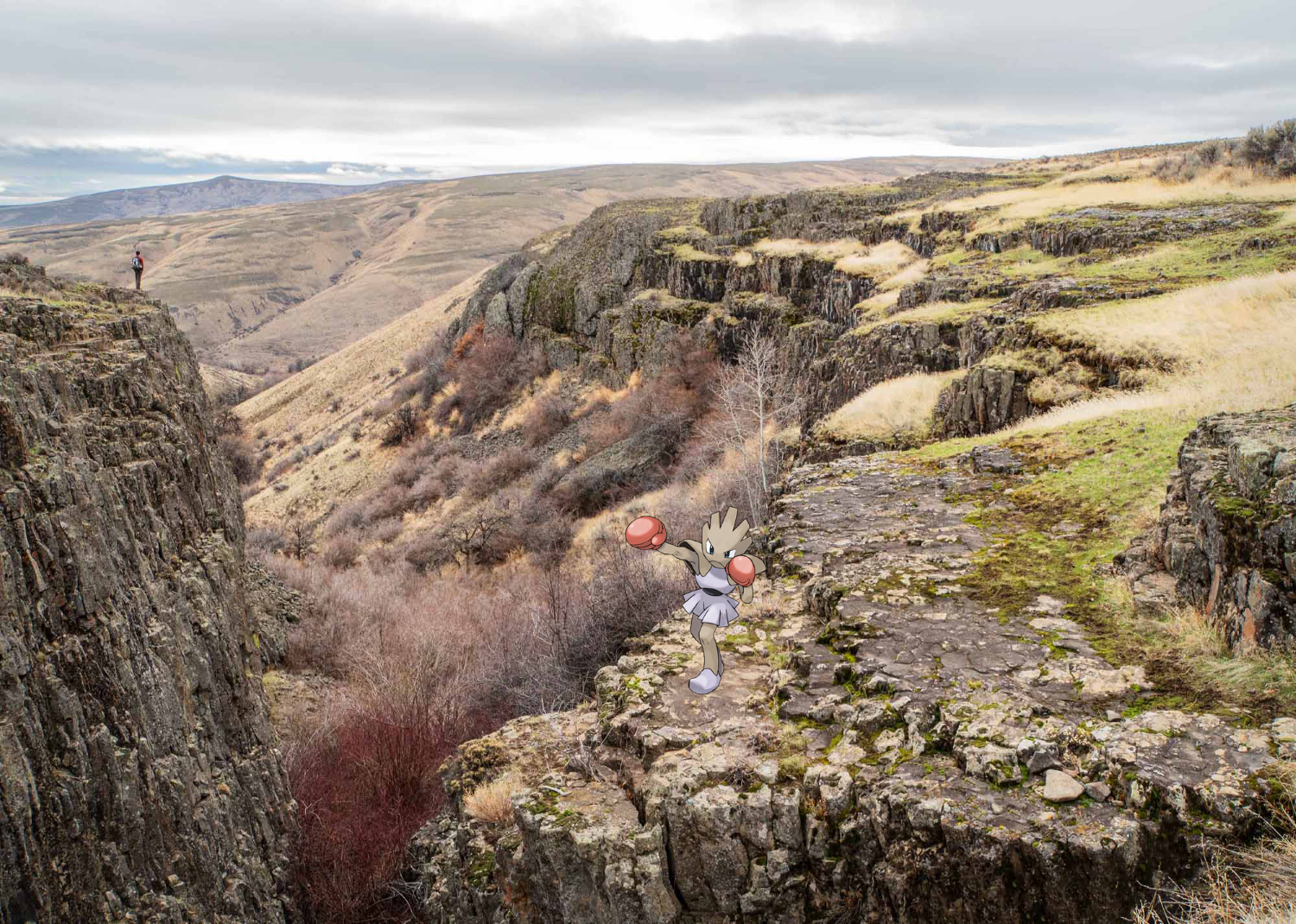 Hitmonchan standing at a ledge in Box Spring Canyon. Photo by David Hagen.