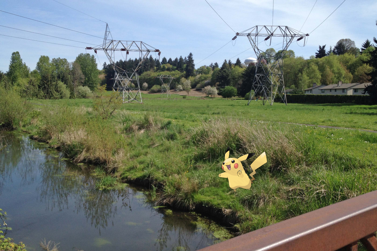 Pikachu next to the creek on the middle section of the Burnt Bridge Creek trail. Photo by Patricia Coulthard.