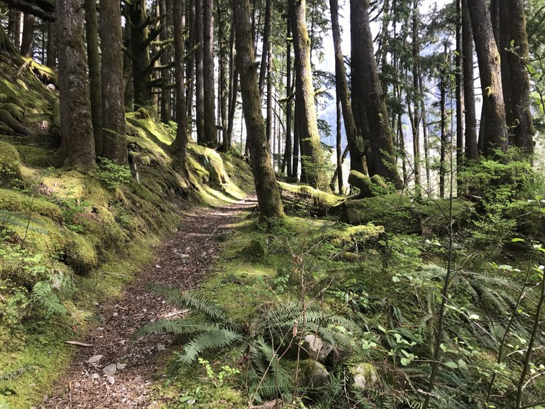 CCC Road austineats.jpeg