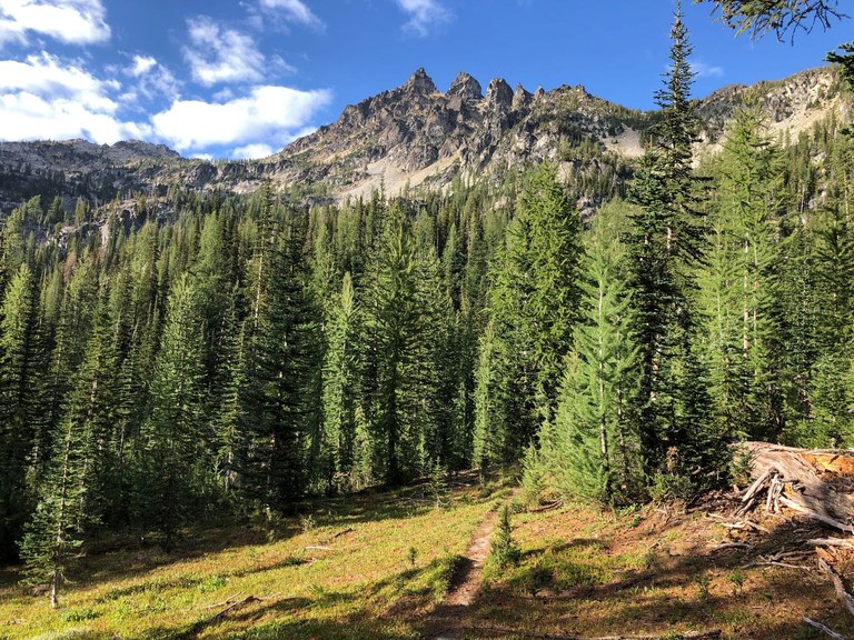 View of Emerald Peak from North Fork Entiat 