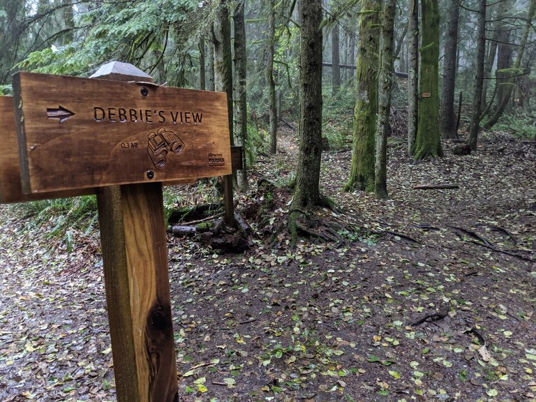 Debbie's View. Photo by Bob Zimmerman A wooden trail sign that says, "Debbie's View"