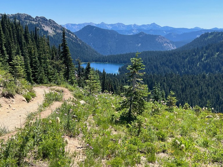 A bright blue lake nestled in a valley of evergreen trees with mountains on the horizon. 